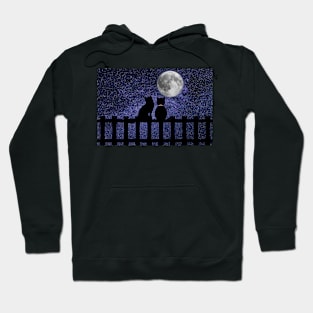 Cat and moon Hoodie